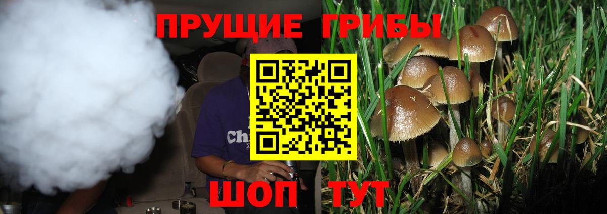 Красноперекопск  Галлюциногенные грибы GOLDEN TEACHER  купить наркоту  Галлюциногенные грибы прущие грибы  Вход с VPN 